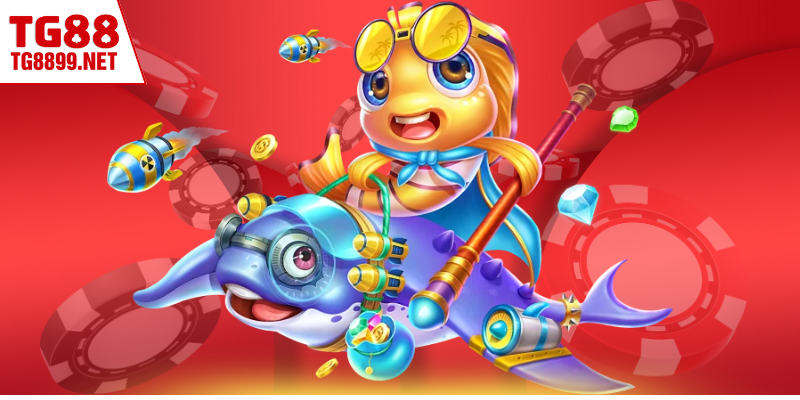 Các thời điểm săn cá hiệu quả nhất