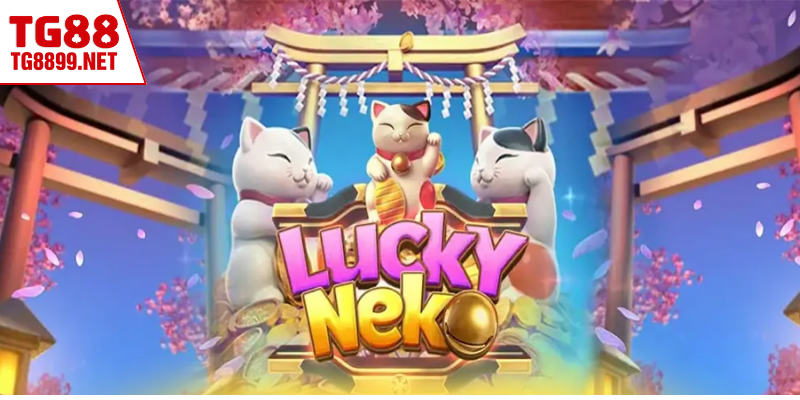 Chiến thuật cá cược dựa trên nhịp quay