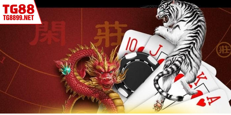 Học kinh nghiệm giúp thành viên thắng lớn